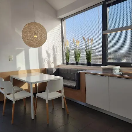 365pam - Boulevard *