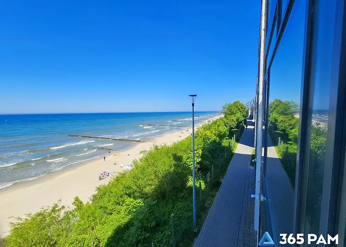 365pam - Boulevard *