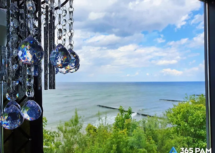 365pam - Boulevard *